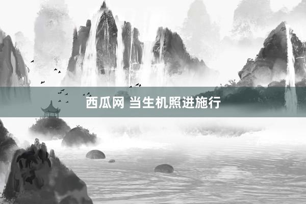 西瓜网 当生机照进施行