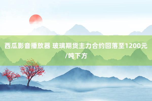 西瓜影音播放器 玻璃期货主力合约回落至1200元/吨下方