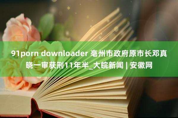 91porn downloader 亳州市政府原市长邓真晓一审获刑11年半_大皖新闻 | 安徽网