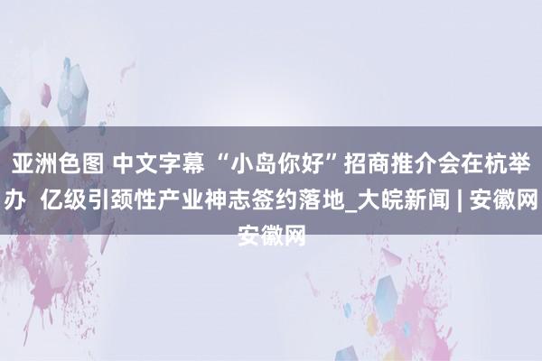 亚洲色图 中文字幕 “小岛你好”招商推介会在杭举办  亿级引颈性产业神志签约落地_大皖新闻 | 安徽网