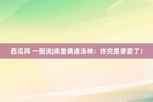 西瓜网 一图流|库里偶遇汤神：终究是谬爱了！