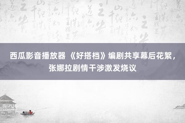 西瓜影音播放器 《好搭档》编剧共享幕后花絮，张娜拉剧情干涉激发烧议