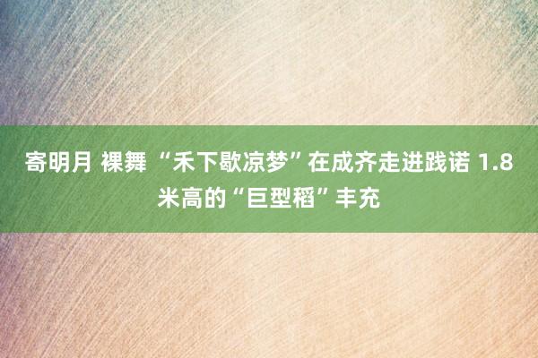 寄明月 裸舞 “禾下歇凉梦”在成齐走进践诺 1.8米高的“巨型稻”丰充