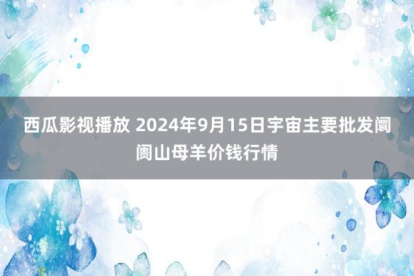 西瓜影视播放 2024年9月15日宇宙主要批发阛阓山母羊价钱行情