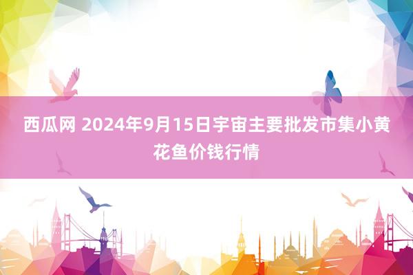 西瓜网 2024年9月15日宇宙主要批发市集小黄花鱼价钱行情