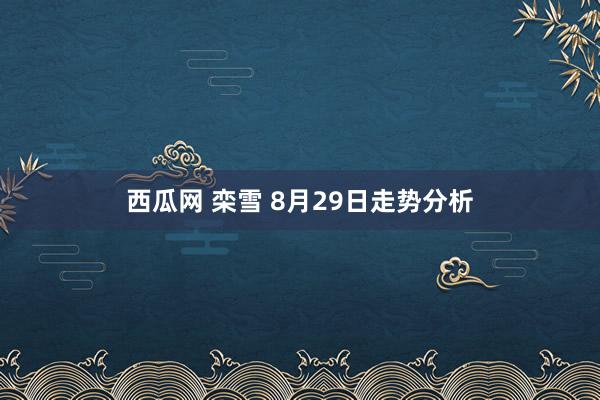 西瓜网 栾雪 8月29日走势分析