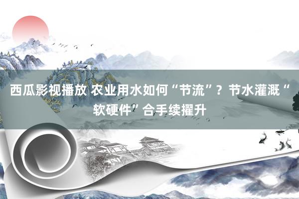 西瓜影视播放 农业用水如何“节流”？节水灌溉“软硬件”合手续擢升