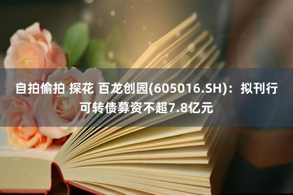 自拍偷拍 探花 百龙创园(605016.SH)：拟刊行可转债募资不超7.8亿元