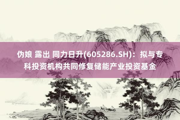 伪娘 露出 同力日升(605286.SH)：拟与专科投资机构共同修复储能产业投资基金