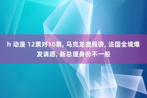 h 动漫 12票对10票, 马克龙遭毁谤, 法国全境爆发请愿, 新总理身份不一般