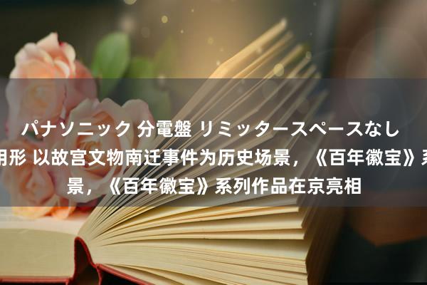 パナソニック 分電盤 リミッタースペースなし 露出・半埋込両用形 以故宫文物南迁事件为历史场景，《百年徽宝》系列作品在京亮相