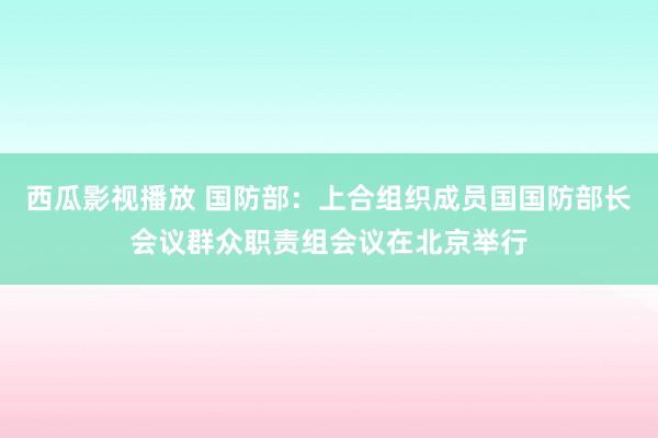 西瓜影视播放 国防部：上合组织成员国国防部长会议群众职责组会议在北京举行