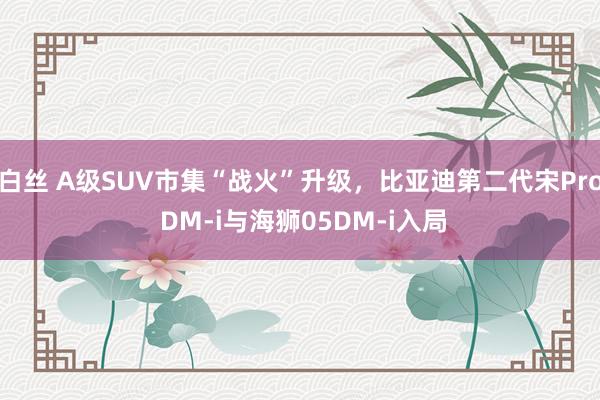 白丝 A级SUV市集“战火”升级，比亚迪第二代宋Pro DM-i与海狮05DM-i入局