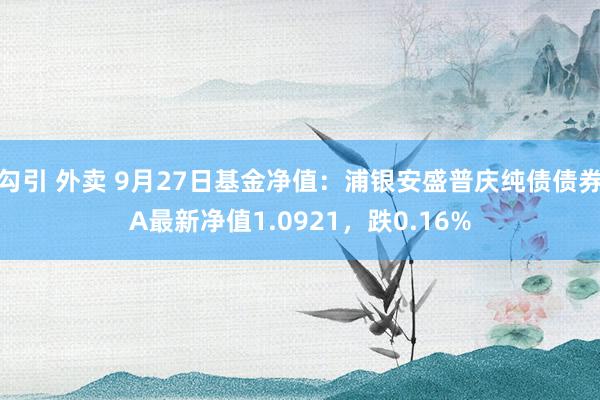 勾引 外卖 9月27日基金净值：浦银安盛普庆纯债债券A最新净值1.0921，跌0.16%