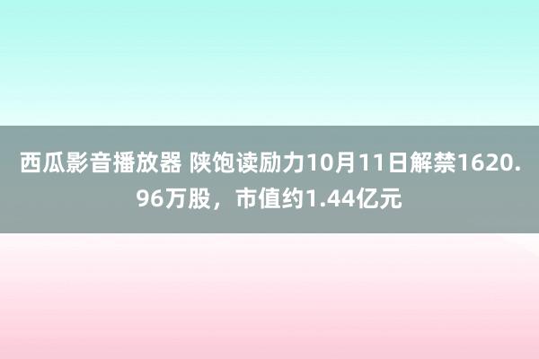 西瓜影音播放器 陕饱读励力10月11日解禁1620.96万股，市值约1.44亿元