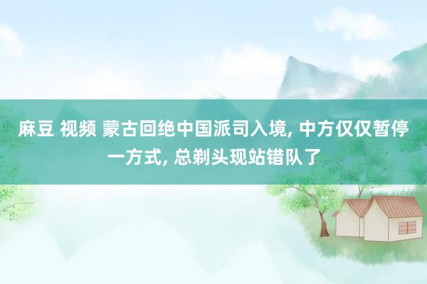 麻豆 视频 蒙古回绝中国派司入境, 中方仅仅暂停一方式, 总剃头现站错队了