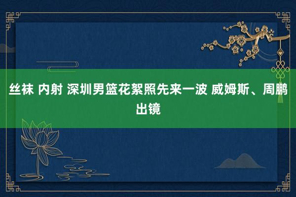 丝袜 内射 深圳男篮花絮照先来一波 威姆斯、周鹏出镜