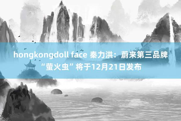 hongkongdoll face 秦力洪：蔚来第三品牌“萤火虫”将于12月21日发布