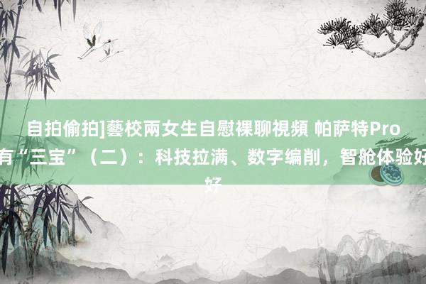 自拍偷拍]藝校兩女生自慰裸聊視頻 帕萨特Pro有“三宝”（二）：科技拉满、数字编削，智舱体验好