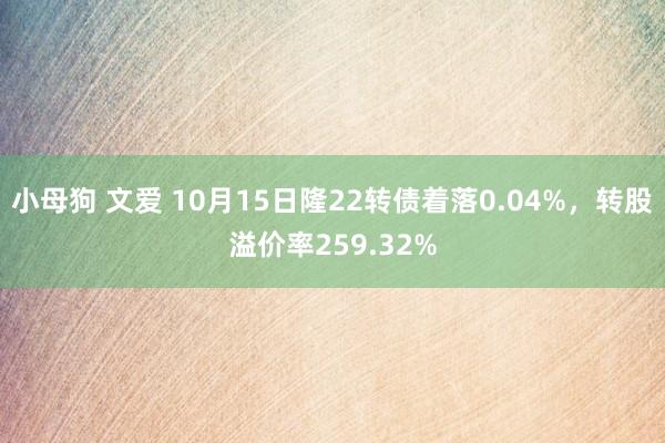 小母狗 文爱 10月15日隆22转债着落0.04%，转股溢价率259.32%