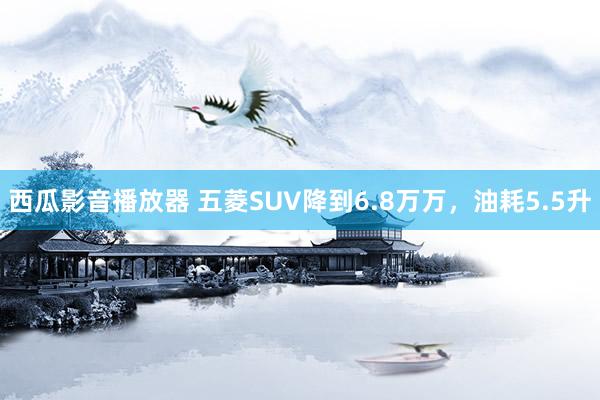 西瓜影音播放器 五菱SUV降到6.8万万，油耗5.5升