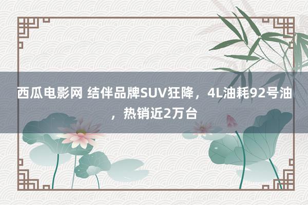 西瓜电影网 结伴品牌SUV狂降，4L油耗92号油，热销近2万台