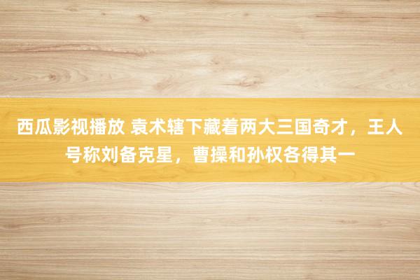 西瓜影视播放 袁术辖下藏着两大三国奇才，王人号称刘备克星，曹操和孙权各得其一