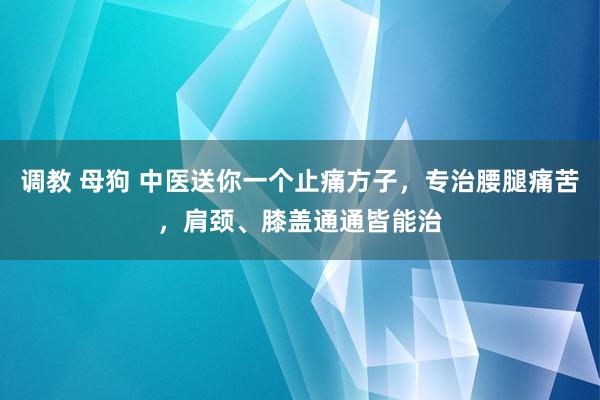 调教 母狗 中医送你一个止痛方子，专治腰腿痛苦，肩颈、膝盖通通皆能治