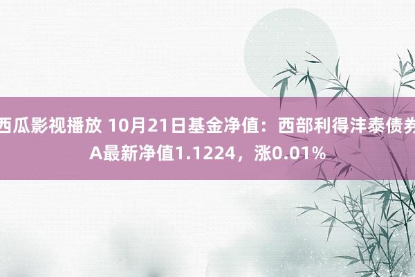 西瓜影视播放 10月21日基金净值：西部利得沣泰债券A最新净值1.1224，涨0.01%