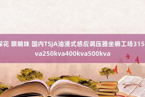 探花 眼睛妹 国内TSJA油浸式感应调压器坐褥工场315kva250kva400kva500kva