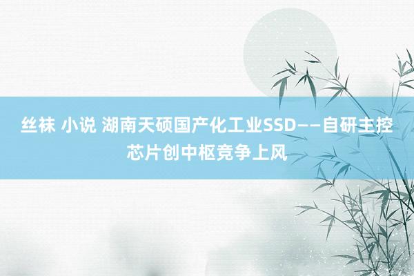 丝袜 小说 湖南天硕国产化工业SSD——自研主控芯片创中枢竞争上风