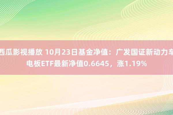 西瓜影视播放 10月23日基金净值：广发国证新动力车电板ETF最新净值0.6645，涨1.19%