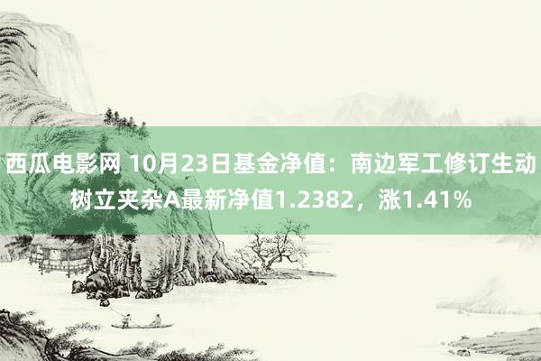 西瓜电影网 10月23日基金净值：南边军工修订生动树立夹杂A最新净值1.2382，涨1.41%