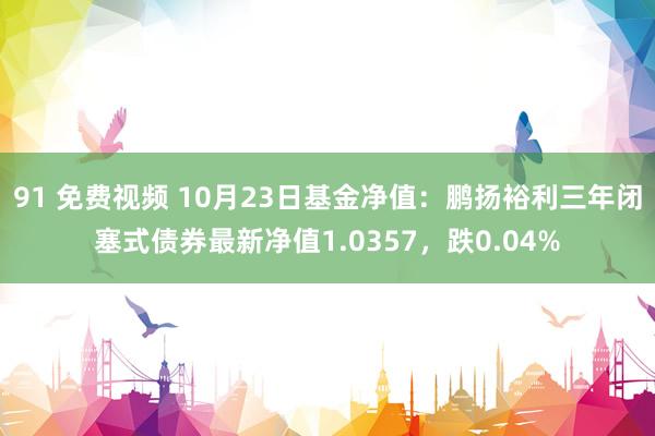 91 免费视频 10月23日基金净值：鹏扬裕利三年闭塞式债券最新净值1.0357，跌0.04%