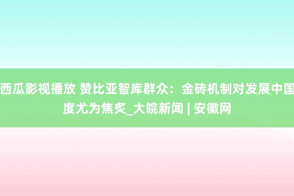 西瓜影视播放 赞比亚智库群众：金砖机制对发展中国度尤为焦炙_大皖新闻 | 安徽网