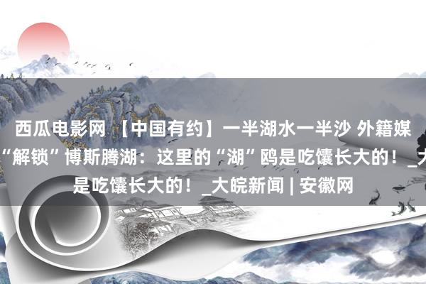 西瓜电影网 【中国有约】一半湖水一半沙 外籍媒体东说念主惊喜“解锁”博斯腾湖：这里的“湖”鸥是吃馕长大的！_大皖新闻 | 安徽网