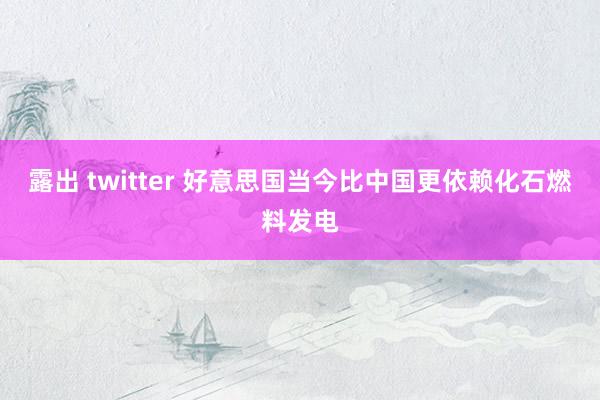 露出 twitter 好意思国当今比中国更依赖化石燃料发电