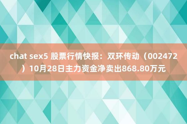 chat sex5 股票行情快报：双环传动（002472）10月28日主力资金净卖出868.80万元