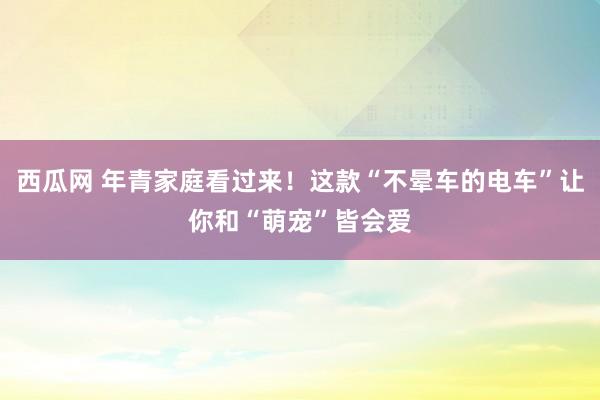 西瓜网 年青家庭看过来！这款“不晕车的电车”让你和“萌宠”皆会爱