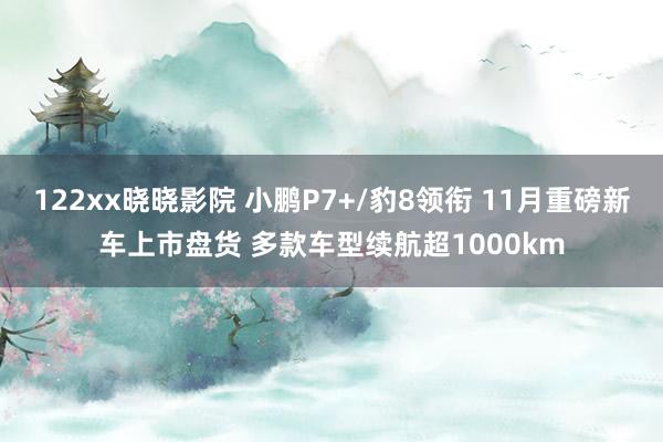 122xx晓晓影院 小鹏P7+/豹8领衔 11月重磅新车上市盘货 多款车型续航超1000km