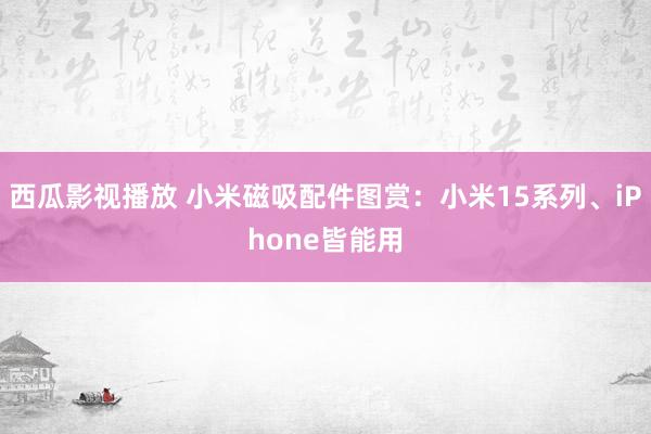 西瓜影视播放 小米磁吸配件图赏：小米15系列、iPhone皆能用