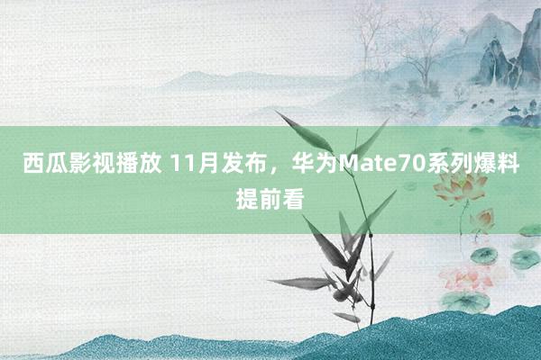 西瓜影视播放 11月发布，华为Mate70系列爆料提前看