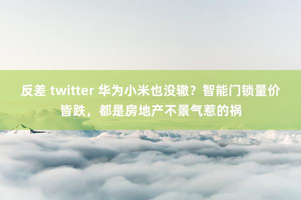 反差 twitter 华为小米也没辙？智能门锁量价皆跌，都是房地产不景气惹的祸