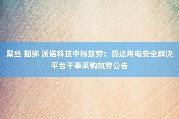 黑丝 捆绑 派诺科技中标效劳：贤达用电安全解决平台干事采购效劳公告