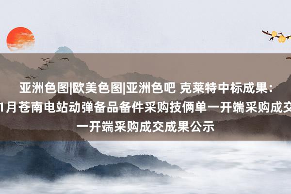 亚洲色图|欧美色图|亚洲色吧 克莱特中标成果：2024年11月苍南电站动弹备品备件采购技俩单一开端采购成交成果公示