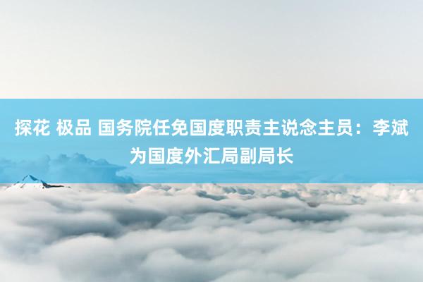 探花 极品 国务院任免国度职责主说念主员：李斌为国度外汇局副局长