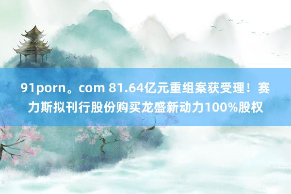 91porn。com 81.64亿元重组案获受理！赛力斯拟刊行股份购买龙盛新动力100%股权