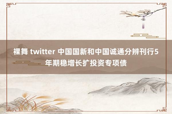 裸舞 twitter 中国国新和中国诚通分辨刊行5年期稳增长扩投资专项债