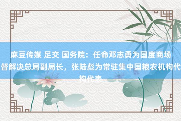 麻豆传媒 足交 国务院：任命邓志勇为国度商场监督解决总局副局长，张陆彪为常驻集中国粮农机构代表