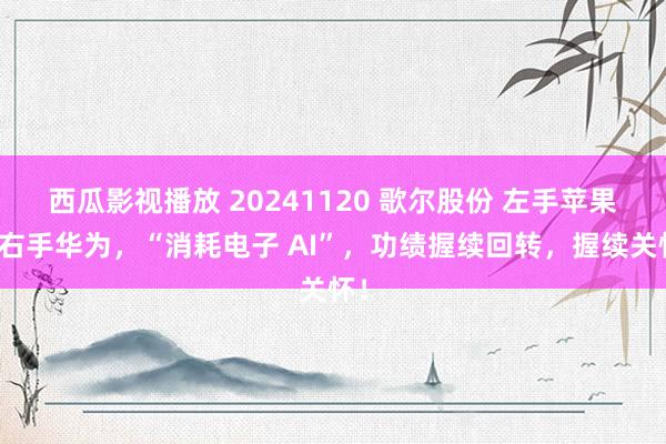 西瓜影视播放 20241120 歌尔股份 左手苹果，右手华为，“消耗电子 AI”，功绩握续回转，握续关怀！